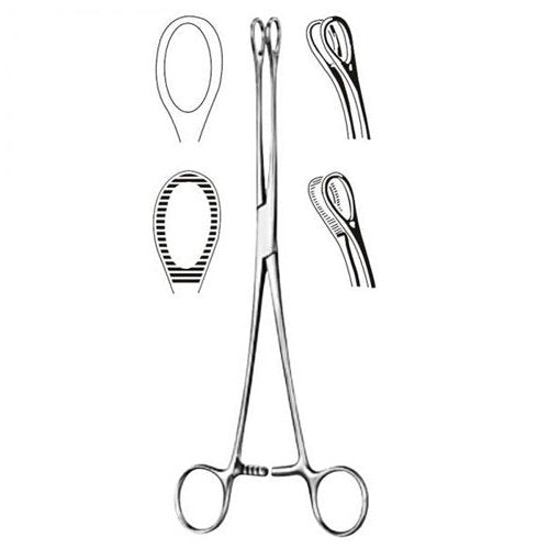 Foerster Sponge Forcep- 7 Serrated